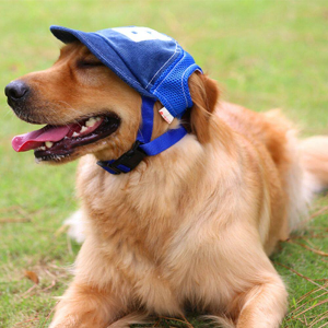 cappello per cani, berretto da baseball per cani, cappelli per cani con fori per le orecchie, berretto da baseball per cani, cappello per animali domestici