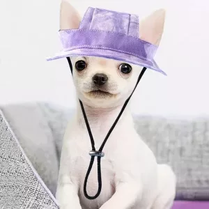 cappello per cani, cappello a secchiello per cani, cappello da sole per cani