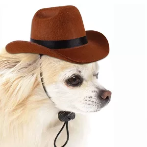 cappello per cani, cappello da cowboy per cani, cappello per animali domestici