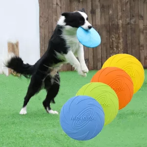 frisbee per cani, dischi frisbee, dischi volanti per cani