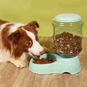 alimentatore automatico, alimentatore per cani, ciotola per l'alimentazione dei cani