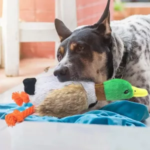 giocattolo da masticare per cani, giocattolo che squittisce, anatra di peluche, giocattolo a forma di anatra