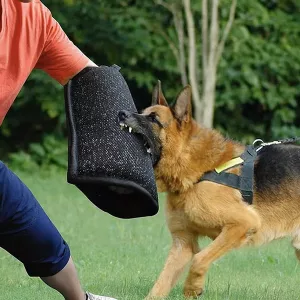 manica da morso per cani, manica da addestramento per cani