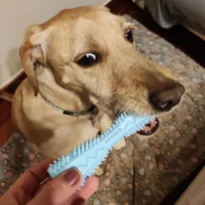 Ricevuto Giocattolo da Masticare per la Pulizia dei Denti del Cane dal cliente F****h.