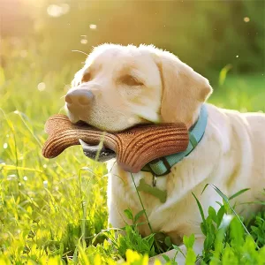 giocattolo da masticare per cani, bastoncino da masticare per cani, giocattolo da masticare in legno, giocattolo da masticare in corno di cervo