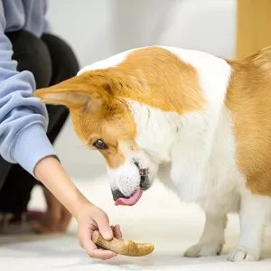 giocattolo da masticare per cani, bastoncino da masticare per cani, giocattolo da masticare in legno, giocattolo da masticare in corno di cervo